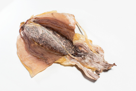 Dried squidの写真素材