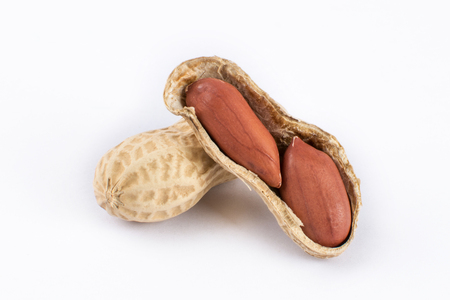 Peanut on white backgroundの写真素材