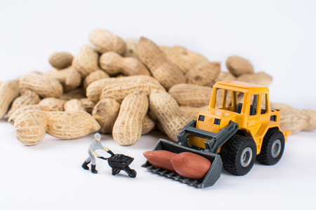 Miniature workman and excavator machine transporting peanutsの写真素材