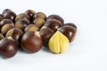 Chestnut white backgroundの写真素材