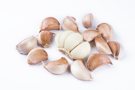 Garlic on white backgroundの写真素材