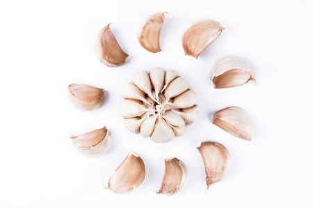 Garlic on white backgroundの写真素材