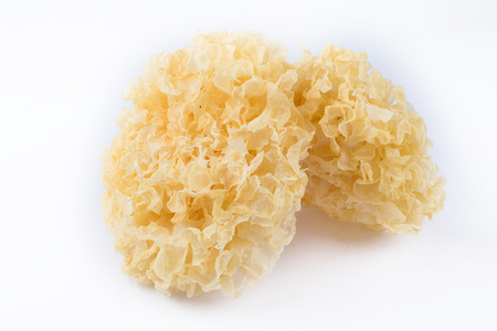 Two dried white fungus on a white backgroundの写真素材
