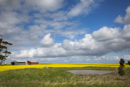 A small pond with a farm in the background, rural Victoria.の写真素材
