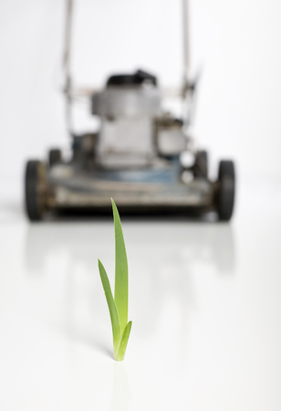 A confrontation concept with a blade of grass facing a lawn mower.の写真素材