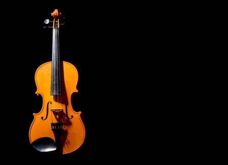 A violin on black with copy space.の写真素材