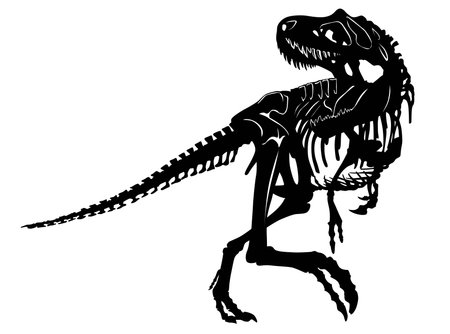 Tyrannosaurus skeletonのイラスト素材