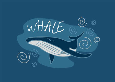 Blue whaleのイラスト素材