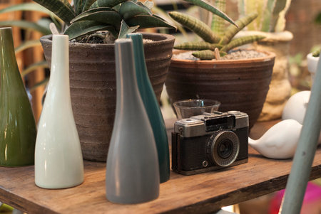 Home decor with vases, camera and plants