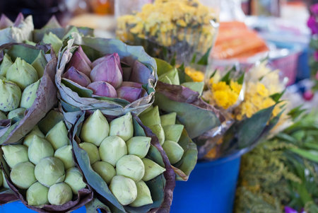 Lotus flowers sold in a local market in Thailandの写真素材
