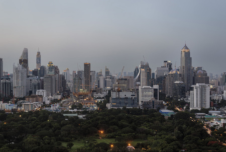 Bangkok Skyline and Lumpini Park, the biggest public park of Bangkok, Thailand. Lumpini Park is also referred to as Lungs of Bangkok.のeditorial素材