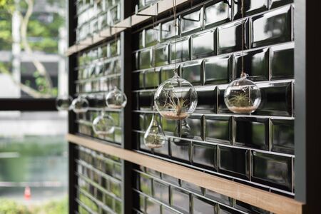 Hanging vase on a wall for decoration, modern home decoration with greeneryの写真素材