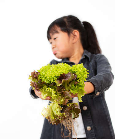 Asian Little girl with fruit and vegetables,concept Healthy food,  vitamin and diet  in the white background.の写真素材