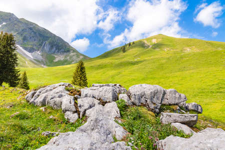 Landscape view of Gantrischseeli at the Switzerland nature park, Natural scenery with a river in the middle between the mountains. On a clear day in the summer sky, for travel and holiday vacations.の写真素材
