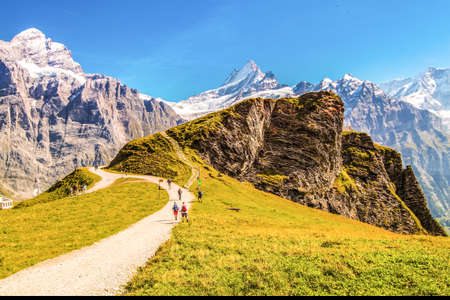 Grindelwald First It is a very popular place nature of Switzerland, the weather is good in summer and winter, with high angle views and Jungfrau Mountain on the opposite side.の写真素材