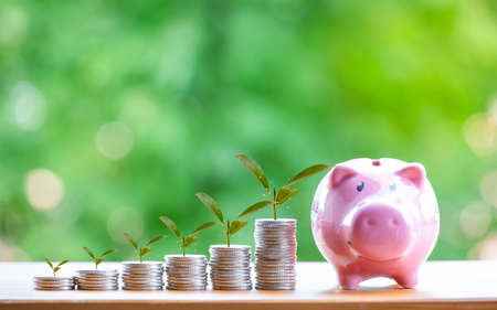 Heart wooden Home  in close-up and coins stack in the nature background, Saving ideas  and investment budget, Business saving money concept, Copy spaceの写真素材