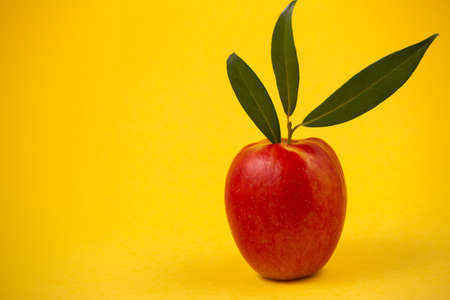 Natural fresh fruit oranges in a wooden background backdrop, half cut oranges, orange juice, vitamin C, for good health everydayの写真素材