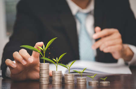 Businessman touching leaf on coins stack on the wooden table , Saving ideas and investment budget, Creative ideas concept of saving money  concept, Copy spaceの写真素材
