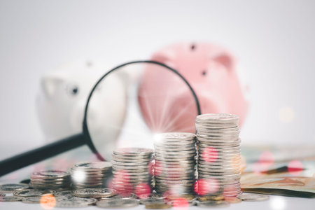 Piggy pink with Coins, credit card and magnifying glass on the white background for finance and banking , Saving ideas and investment budget, Creative ideas concept of saving moneyの写真素材