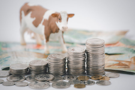 Coins stack and bank note on the white background, Money spending planning, and investment budget,...