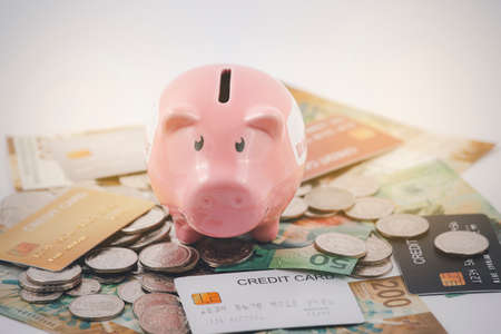 Piggy pink and Coins stack and Visa card model  on white background, Money spending planning, and investment budget, Business saving money concept, Copy spaceの写真素材