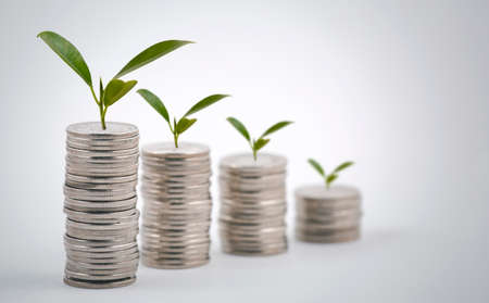 Coins stack and leaf on the white background, Saving  ideas and  investment budget, Business saving money concept, Copy spaceの写真素材