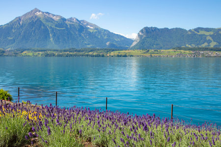 Landscape view of Gantrischseeli at the Switzerland nature park, Natural scenery with a river in the...