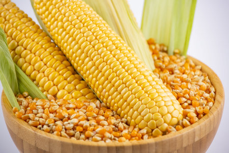 Fresh Corn with leaves isolated on white background.