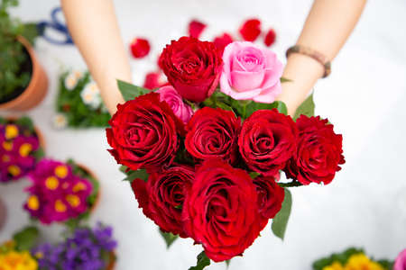 Woman Preparing to trim red and pink roses and beautiful flower arrangements in the home, flower arrangements with vase for gift-giving for Valentine's Day and Business in the family on the on tableの写真素材