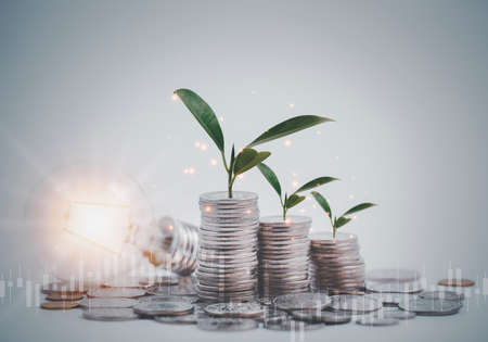 Coins stack and leaf and light bulb with line graph  business connect on white background, Saving  ideas and  investment budget, Business saving money concept,Save money for prepare in the future.の写真素材