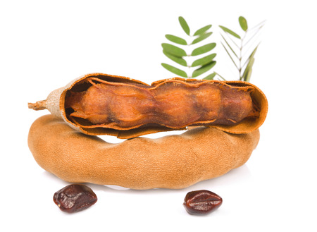 tamarind isolated on white backgroundの写真素材