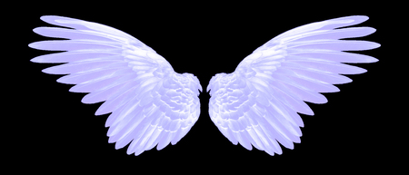 white wings isolated on black backgroundの写真素材