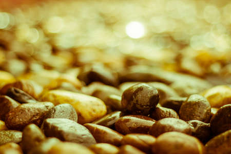 stone garden in sepiaの写真素材