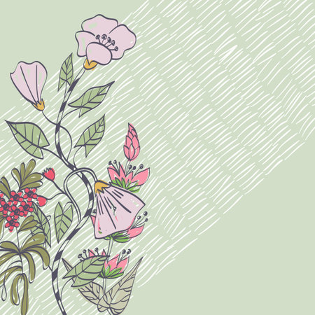 Summer. Vector floral background. Flower element for design.のイラスト素材