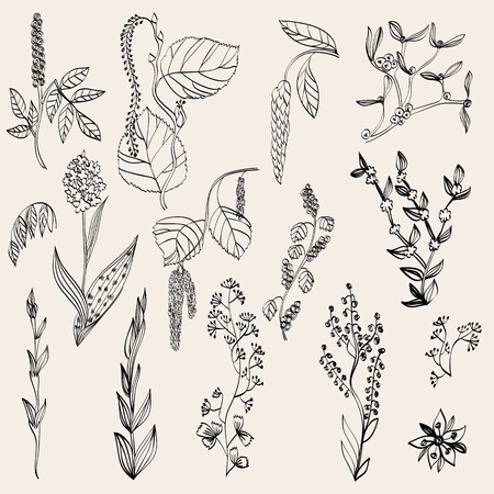 Floral background. Set realistic plants and branchesのイラスト素材