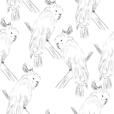 Vector sketch of a parrot. Hand drawn illustrationのイラスト素材