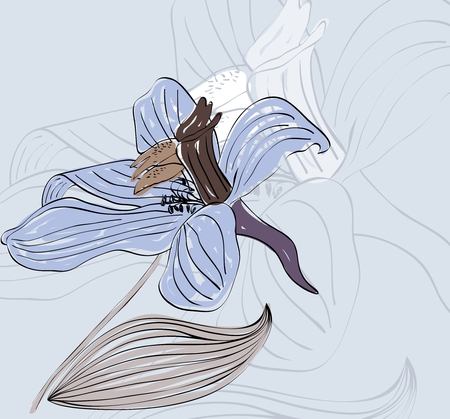 vector hand drawn illustration of beautiful  flower.のイラスト素材