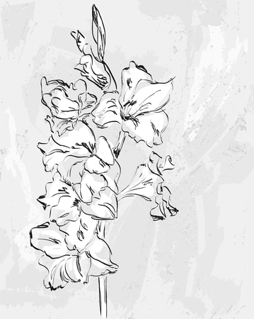 vector hand-drawn illustration of beautiful  flower.のイラスト素材