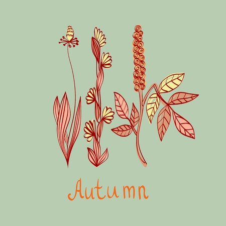 Autumn. Vector floral background. Flower element for design.のイラスト素材