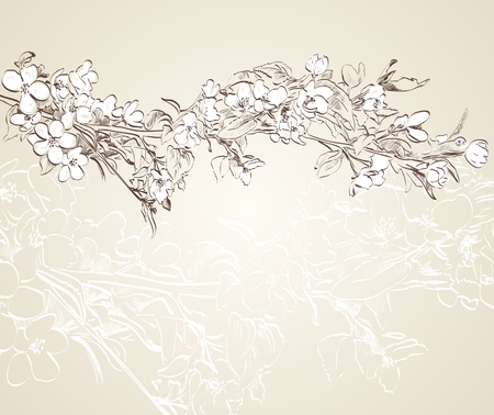 vector hand drawn cherry blossom. Summer illustrationのイラスト素材