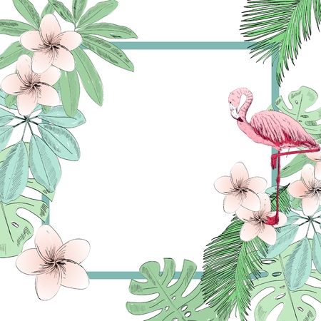 Tropical vector illustrationのイラスト素材