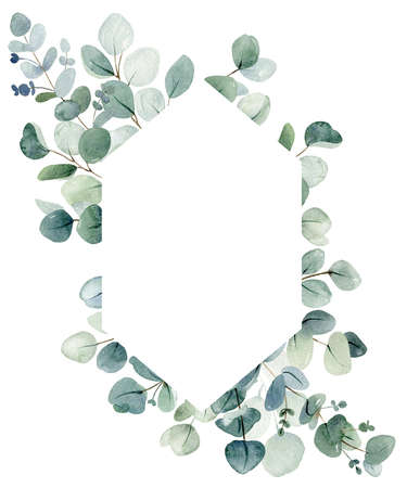 Frame with eucalyptus leavesの写真素材