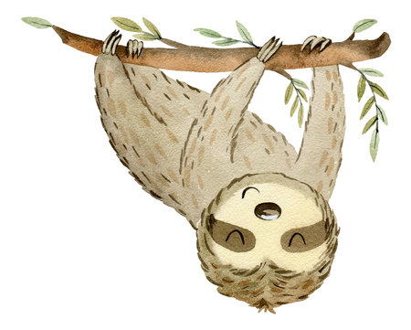 Watercolor Cartoon Sloth.の写真素材