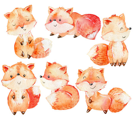 Set of watercolor foxesの写真素材
