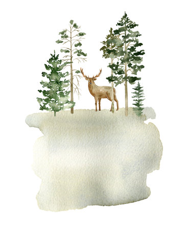 Watercolor forest.の写真素材