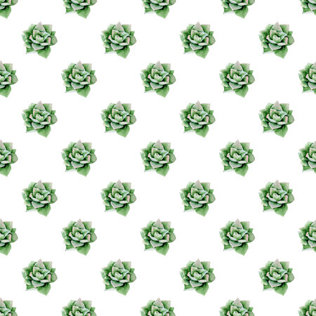 Watercolor seamless patternの写真素材