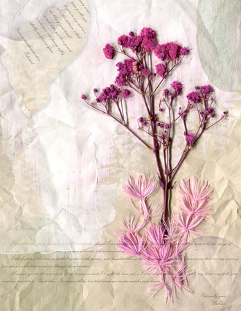 Collage journal page.の写真素材