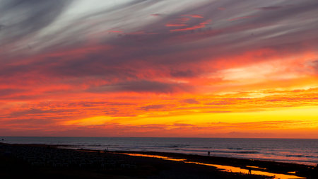 Evening in the beachの写真素材