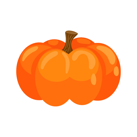 Pumpkin isolated vector clipart icon. Orange halloween squash plant cartoon style.のイラスト素材
