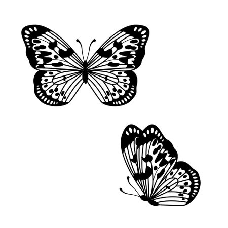 Monarch Butterfly Vector, Silhouette decorative outline Ornament Butterfly element Design isolated on white.のイラスト素材
